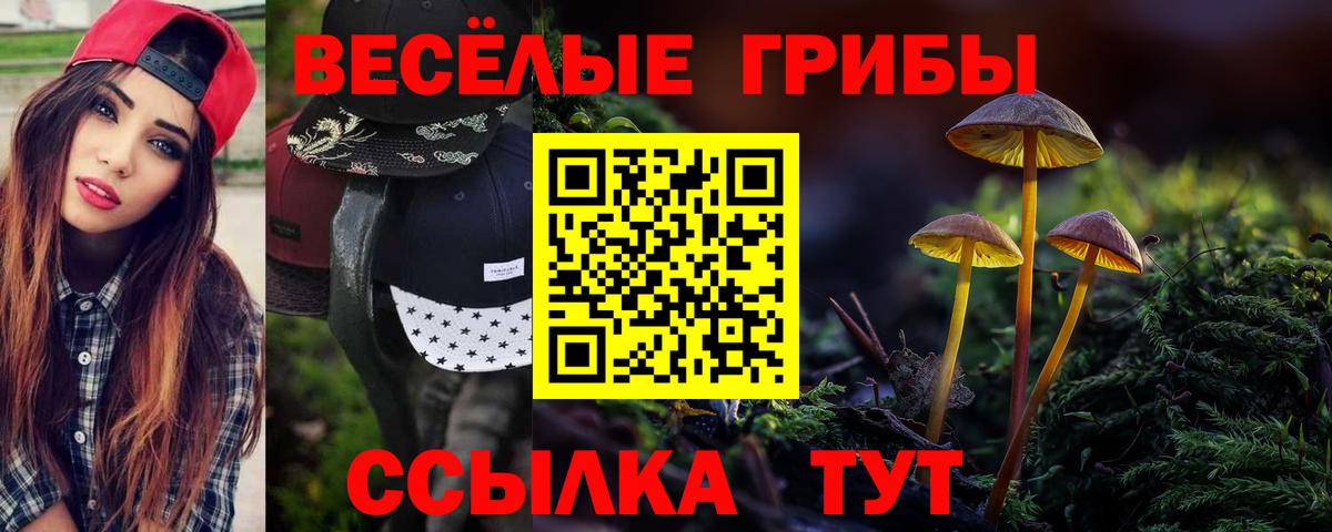 Галлюциногенные грибы мицелий Воркута